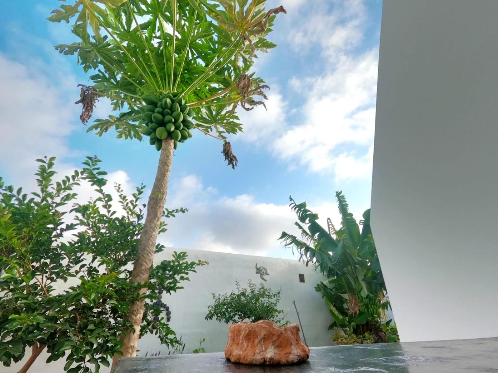 Apartamento Jardin Del Mar Tinajo Exterior foto